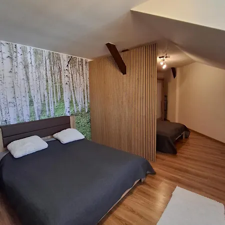 Krásny Podkrovný 3-izbový V širšom Centre Breza Martin