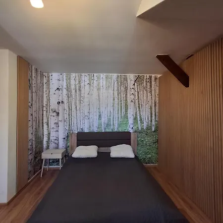 Krásny Podkrovný 3-izbový V širšom Centre Breza Martin