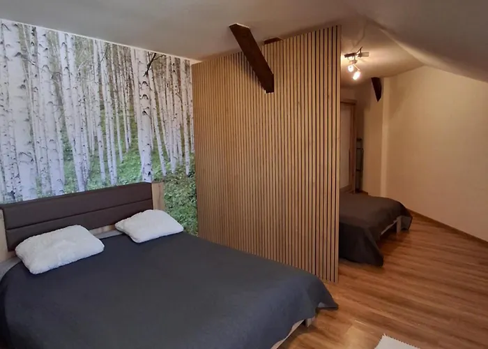 Krasny Podkrovny 3-izbovy V Sirsom Centre Breza Martin