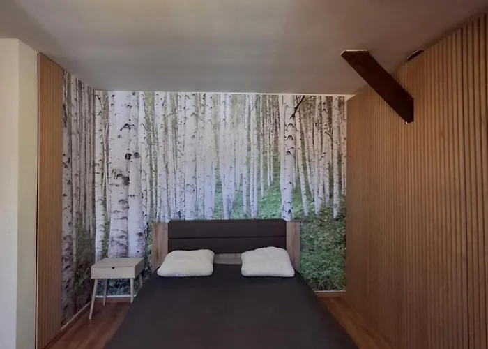 Krasny Podkrovny 3-izbovy V Sirsom Centre Breza Martin